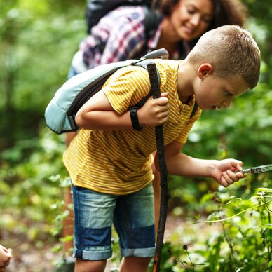 Boy examines plant with magnifying glass in forest