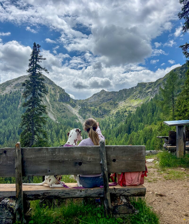 Person mit Dalmatiner sitzt auf Bank, Bergblick voraus