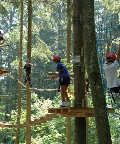 Kinder mit Helmen erkunden einen Baum-Seil-Parcours im Wald.