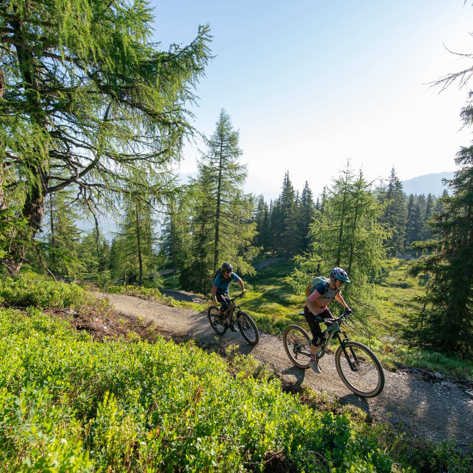 Zwei Mountainbiker fahren auf einem Waldweg im Sonnenschein
