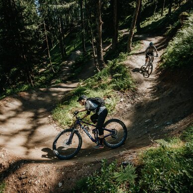Zwei Mountainbiker fahren auf einem Wald-Dirtpfad.