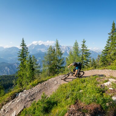 Mountainbike-Fahrer fährt auf steinigem Pfad durch alpine Wälder | © Christoph Oberschneider