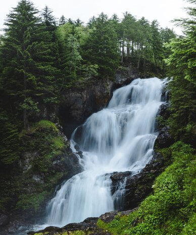 Hochstürzender Wasserfall im grünen Wald