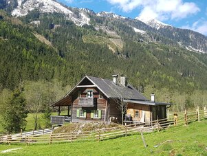 Holzhütte in alpiner Landschaft in einer Wiese mit umgebendem Wald