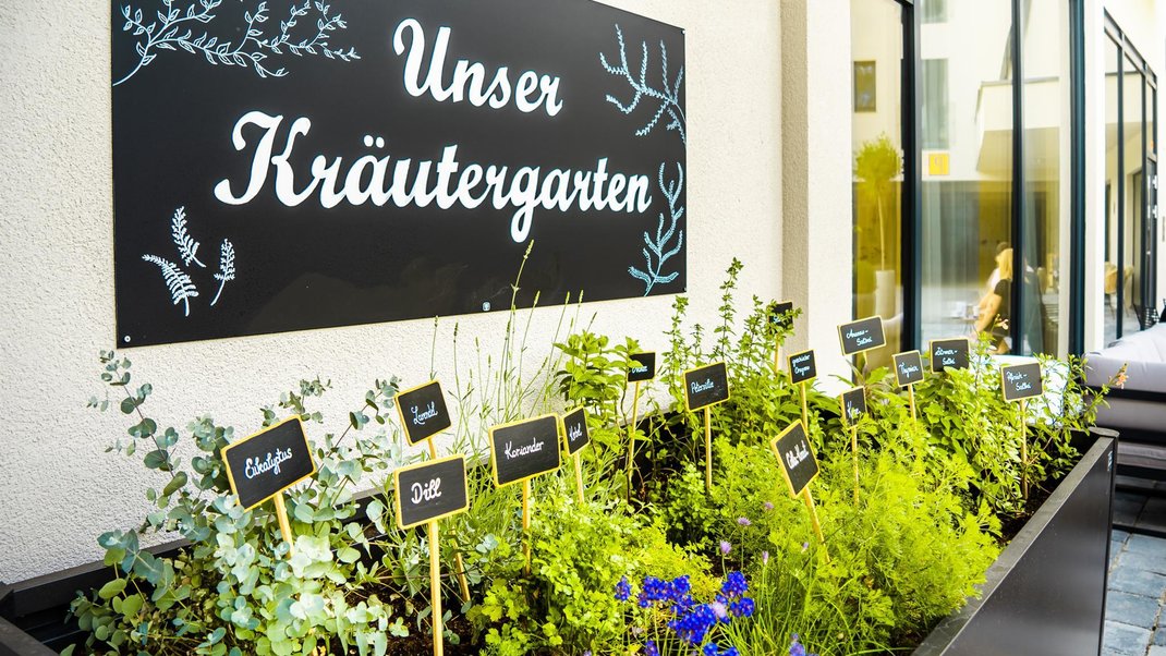 Kräutergarten Kräutergarten